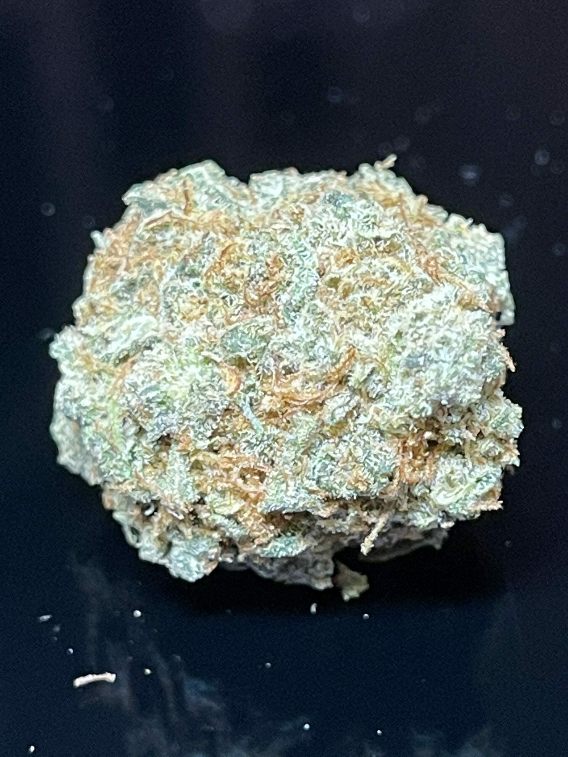 78FC9A61-0AEB-4A94-AC85-E6E33C203B04 WHITE FIRE - SPECIAL 125oz - Image 1