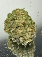 MANGO TANGO