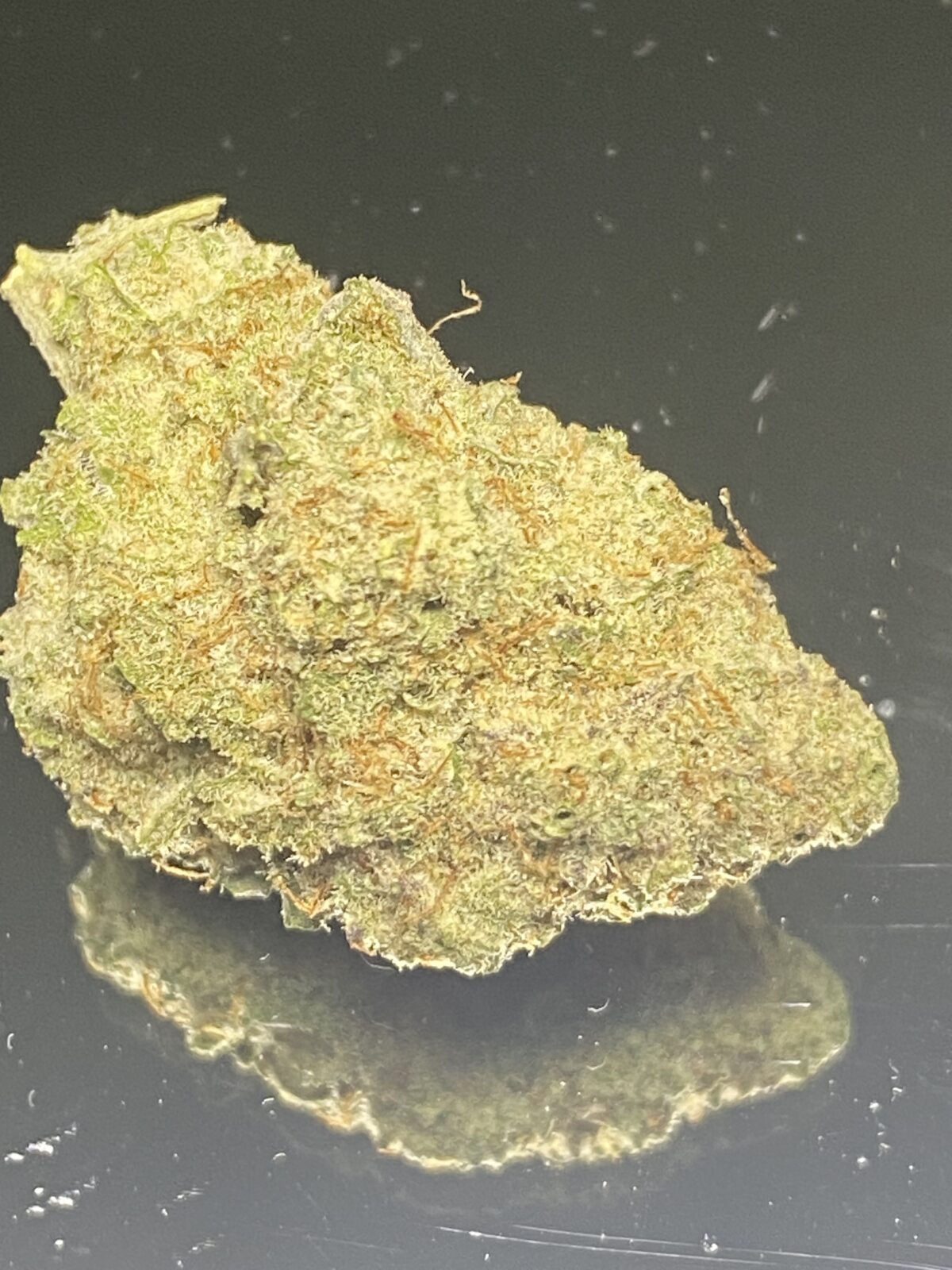 FROSTED CREAM PUFF - Image 2