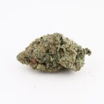 Black Truffle