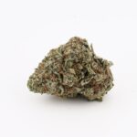 Black Truffle - Image 2
