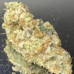 UMAMI BUTTER - MONDAY SALE 20 off on oz, 10 off on 1/2oz