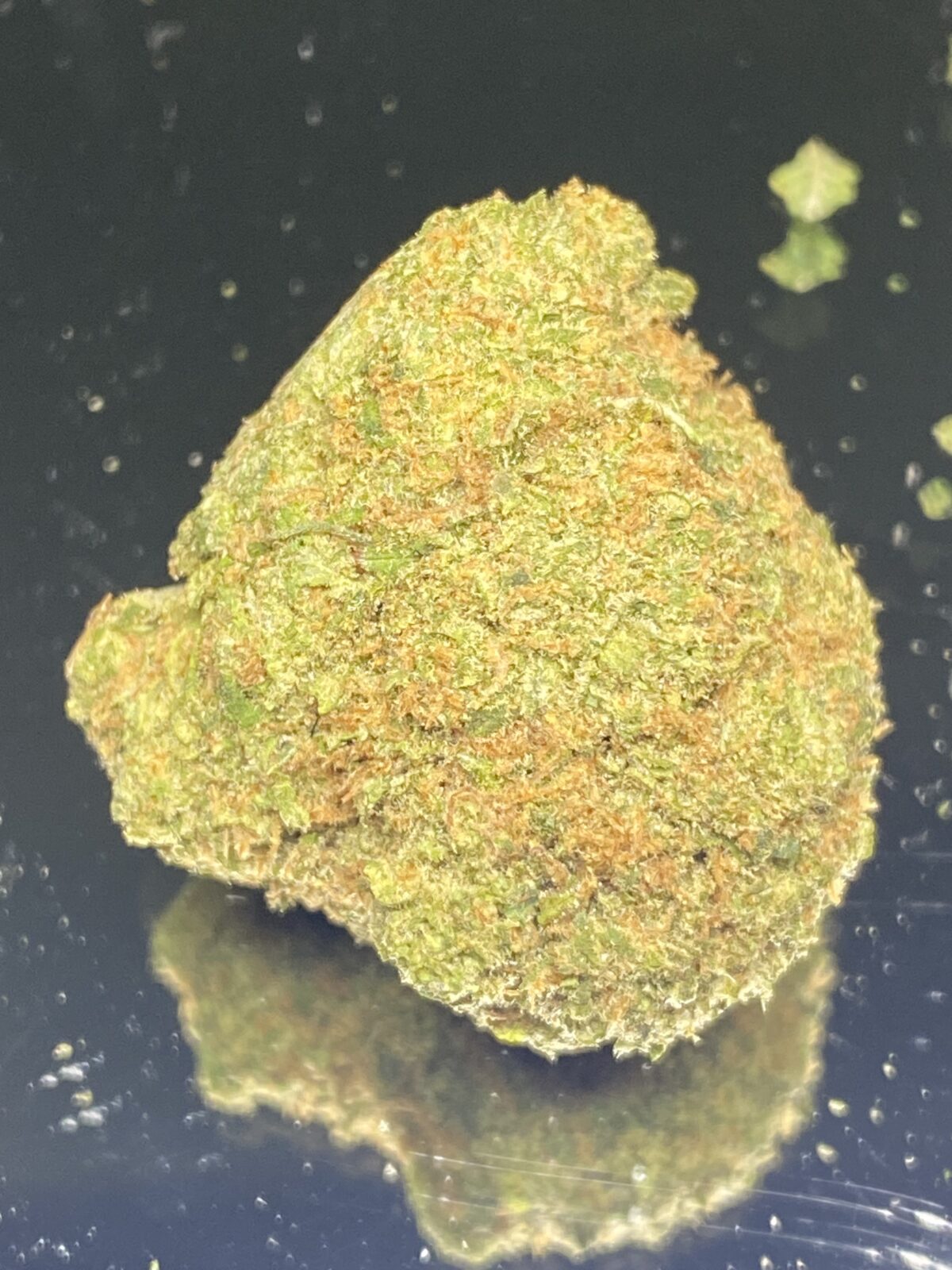 COSMONAUT - Image 3