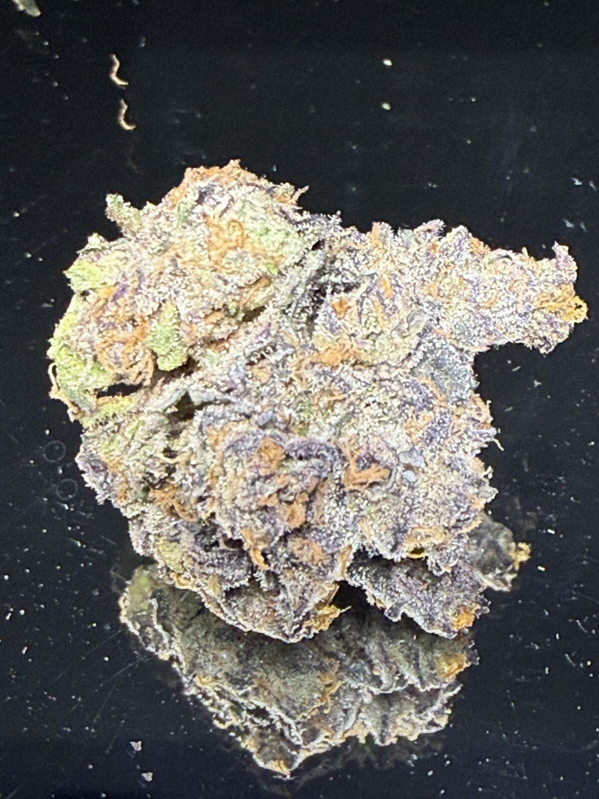 Clout Tomahawk - Image 2