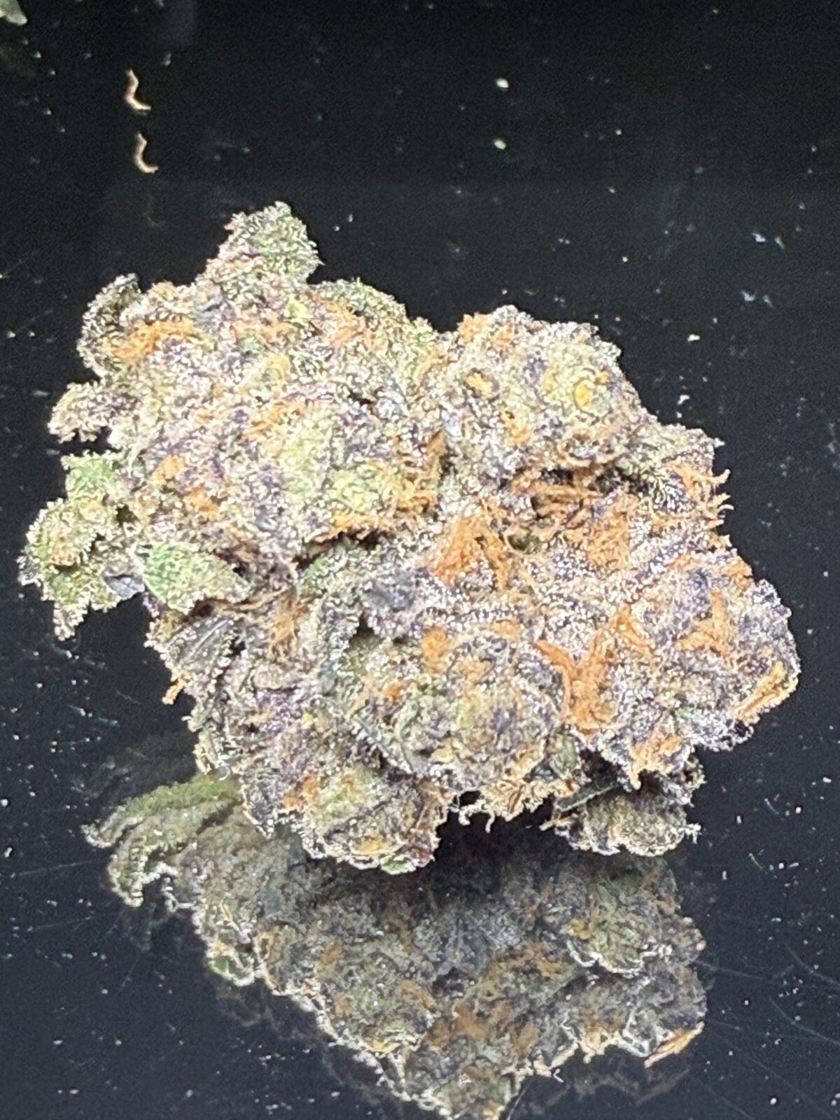 Clout Tomahawk - Image 3