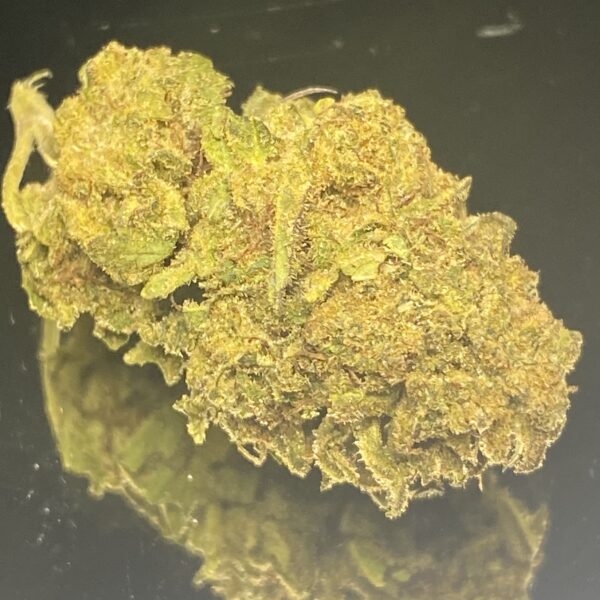 Rocket Bomb - Budget Weed