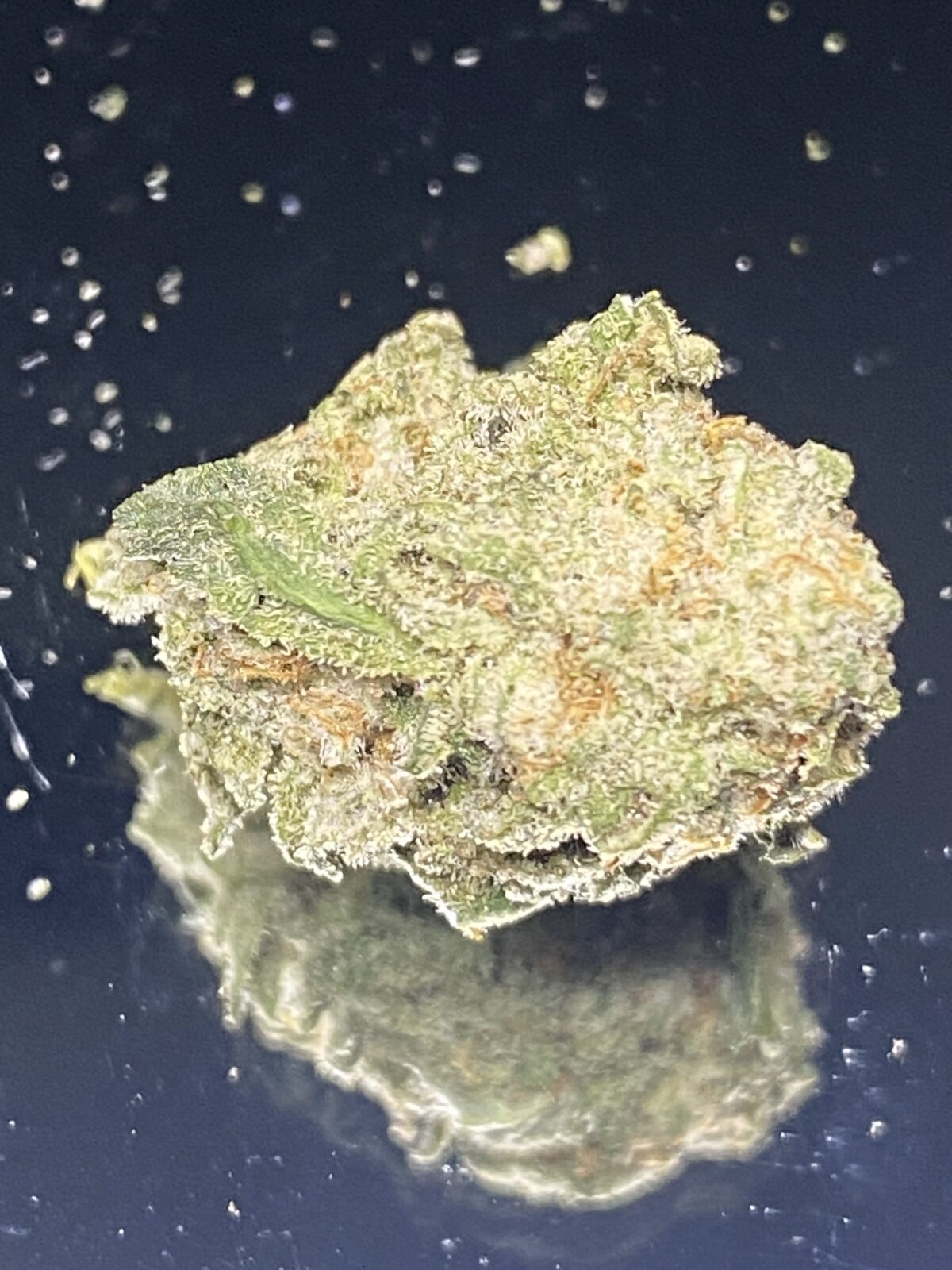 Moon Fog - Budget Weed (popcorn buds) - Image 2