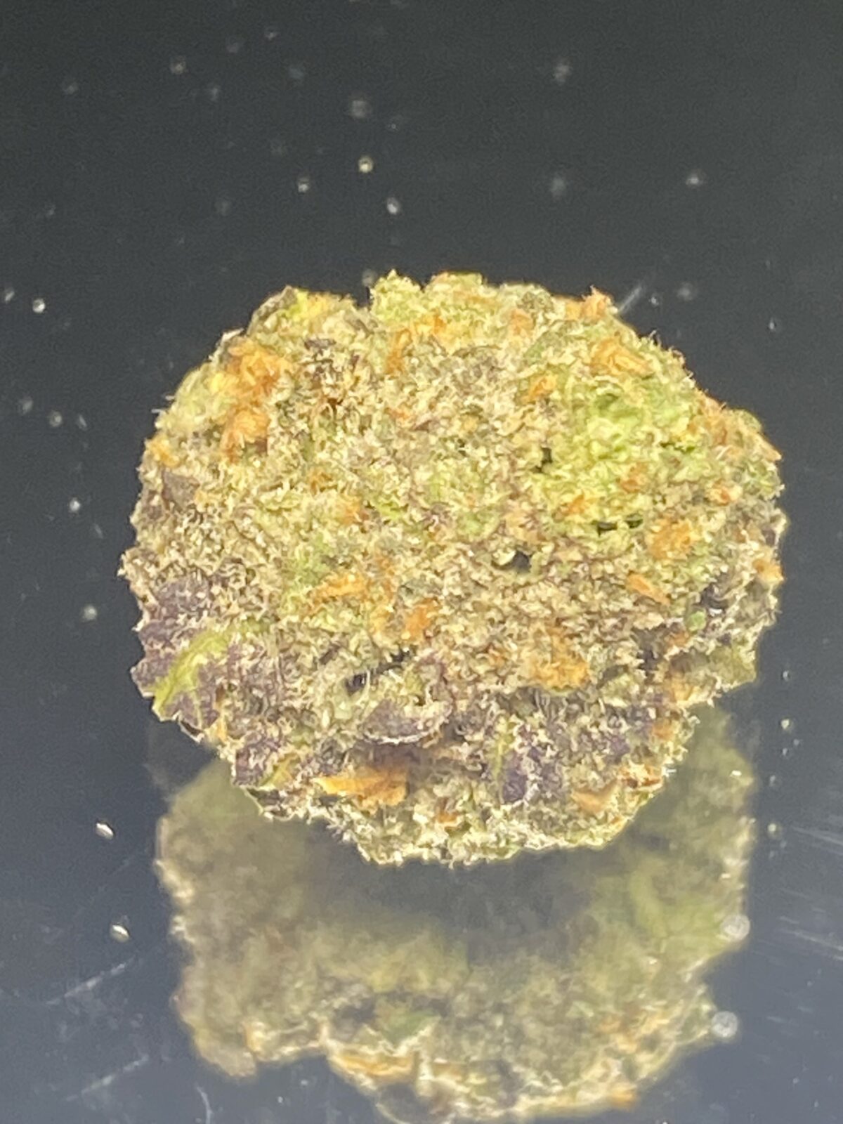 Pink Kush - Budget Weed(popcorn buds) - Image 1
