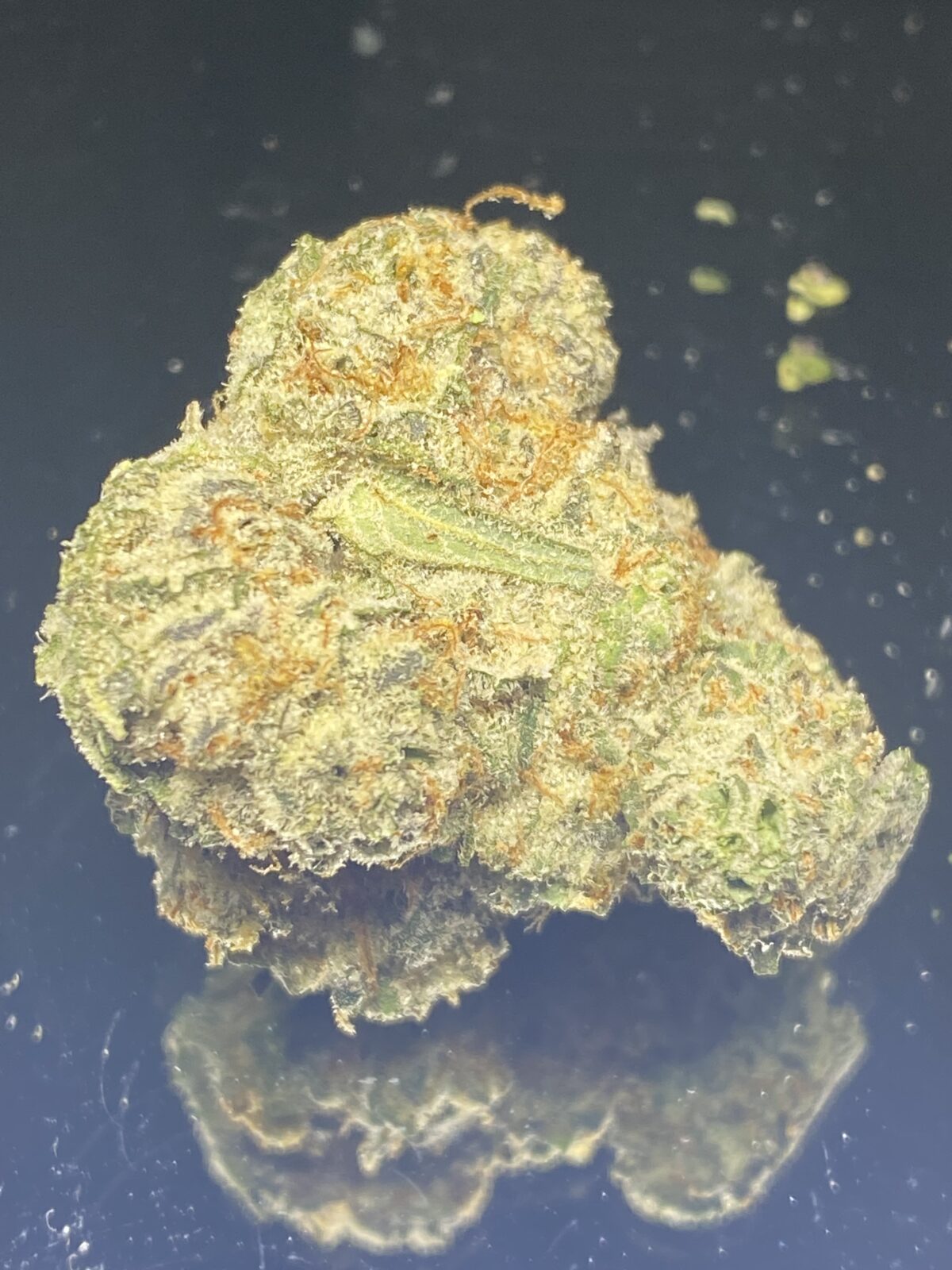 Super Berry Crush - Image 2