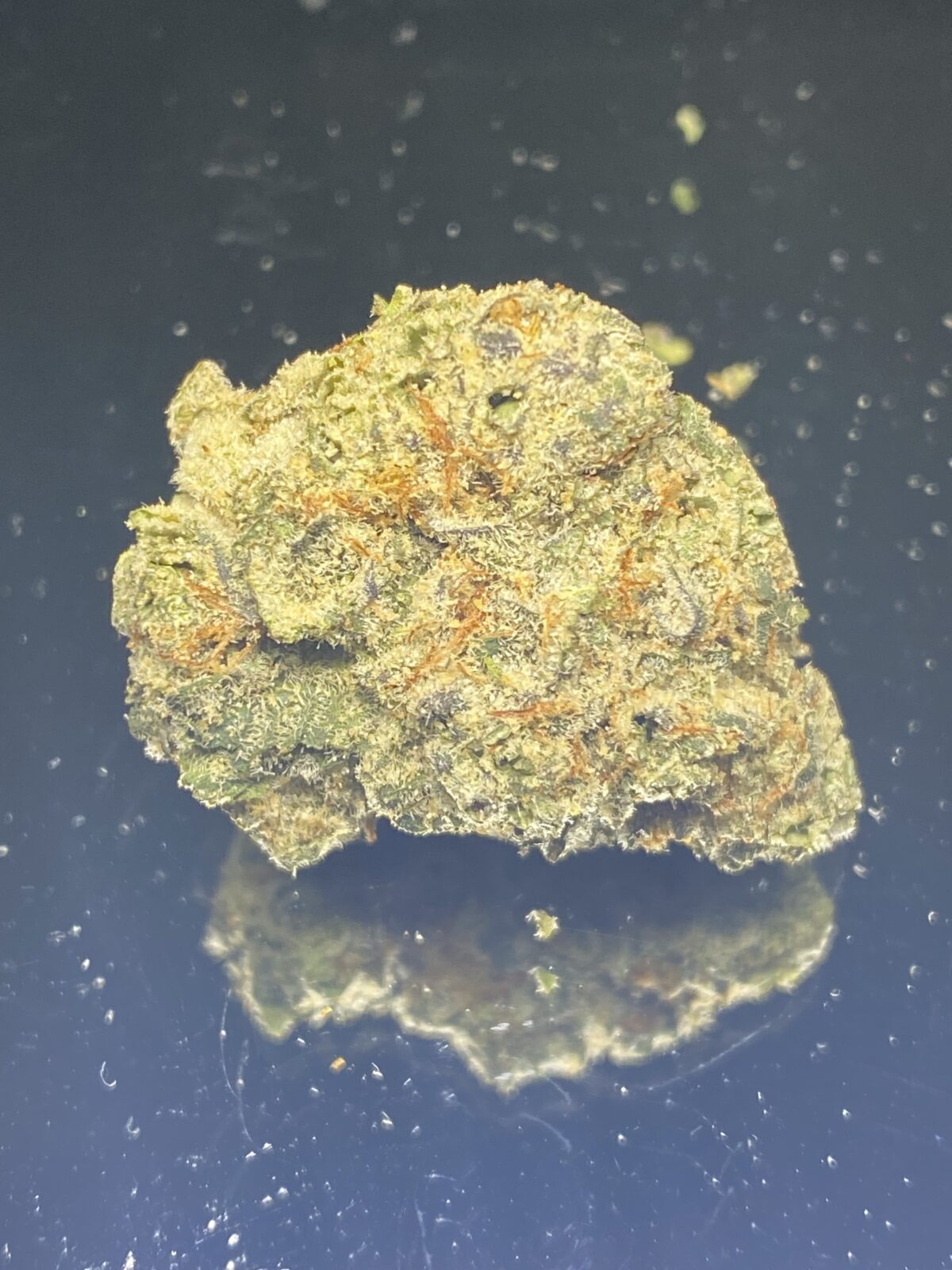 Bubblegum Popperz - Image 2
