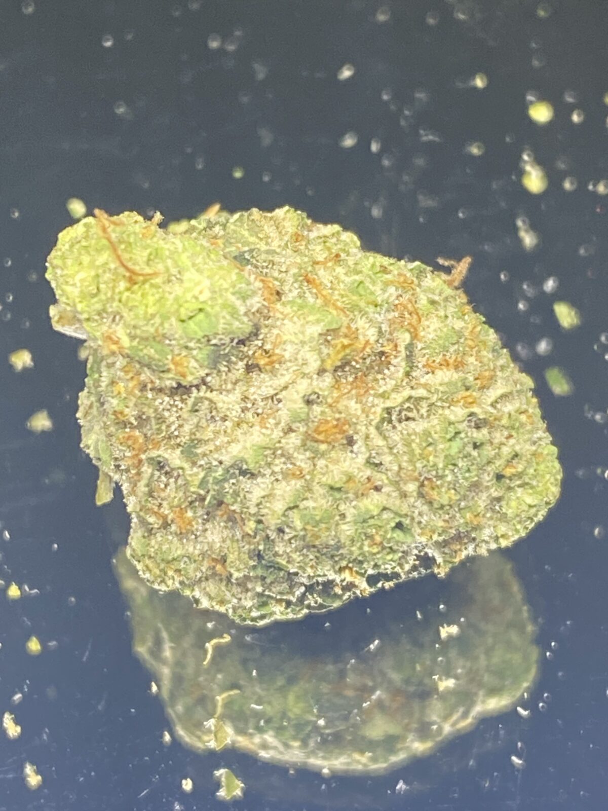 Uncle Snoop - Budget Weed(popcorn buds) - Image 1