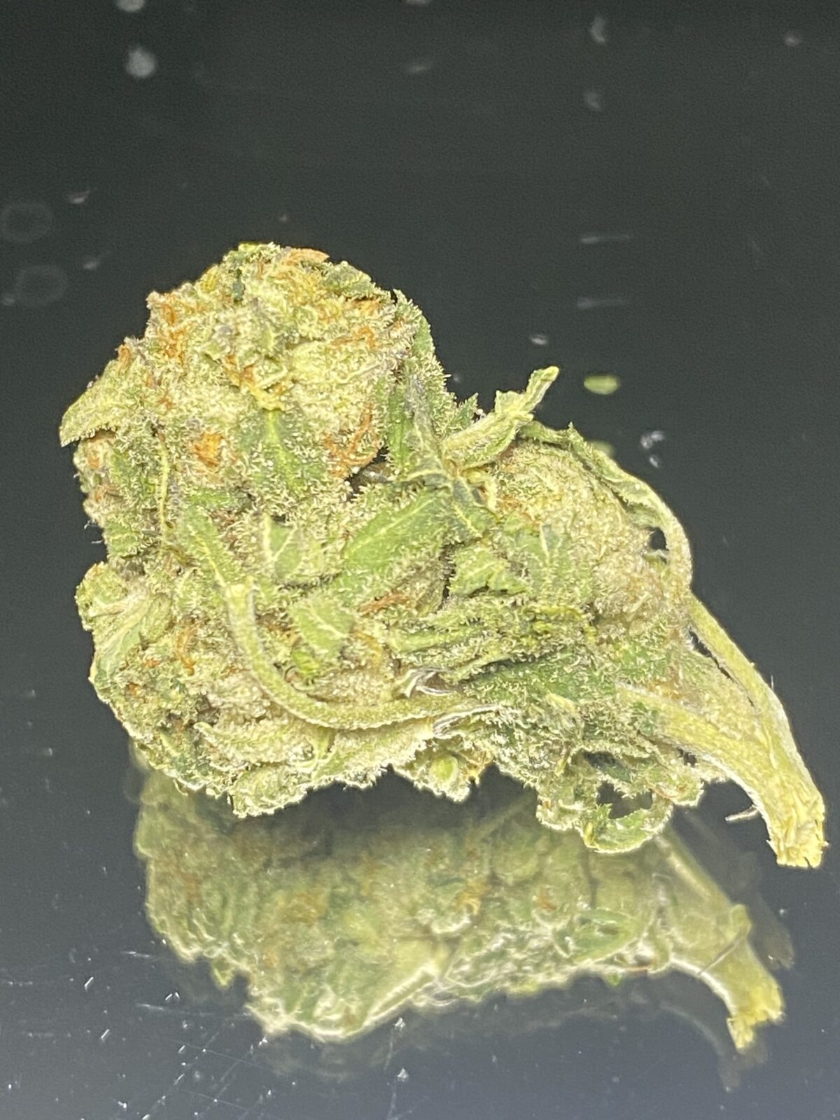 Block Builder - Budget Weed - Image 3
