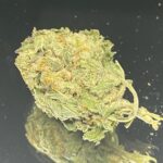 Block Builder - Budget Weed