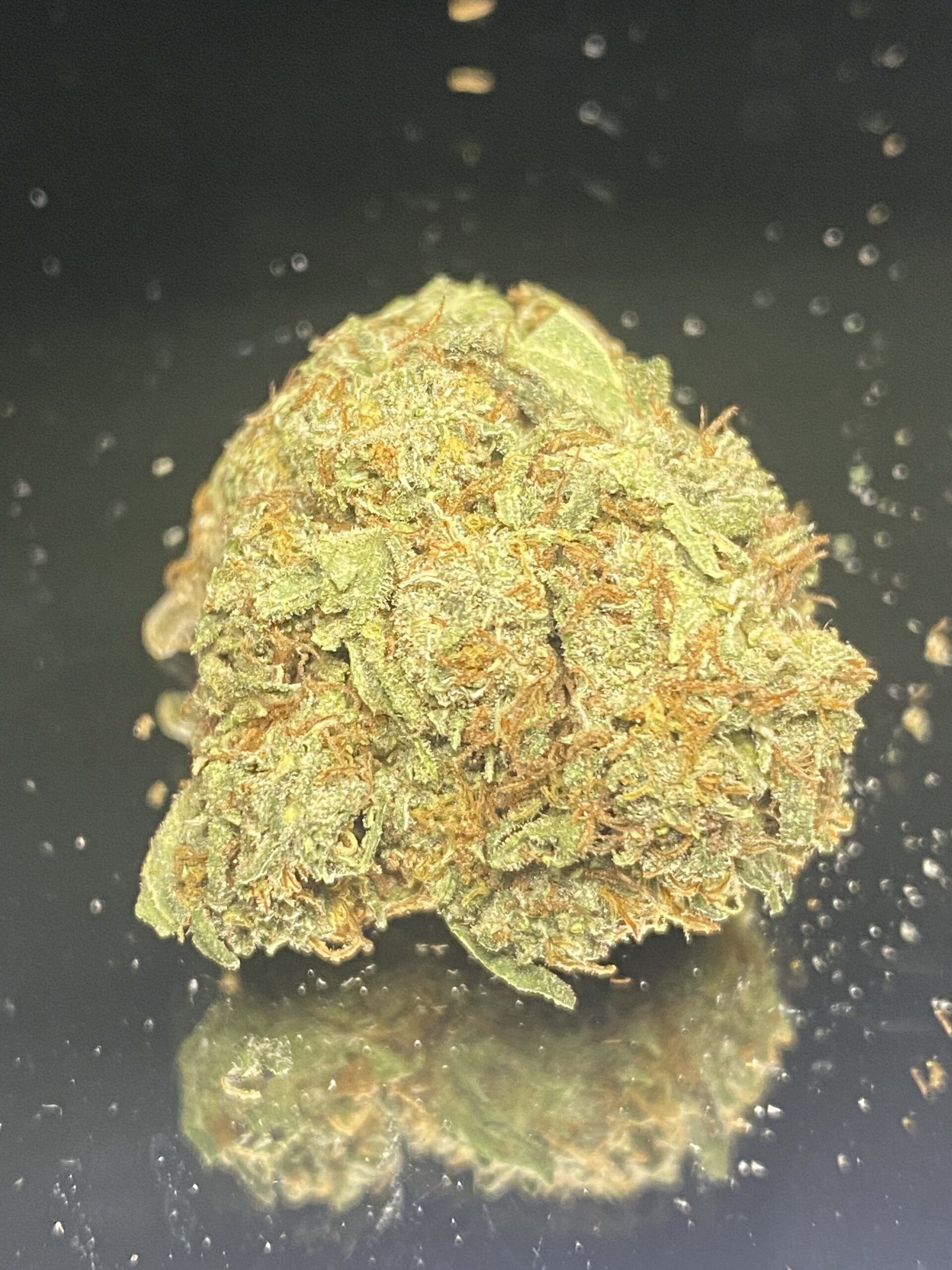 IMG_2906 Cuban Linx - Image 1