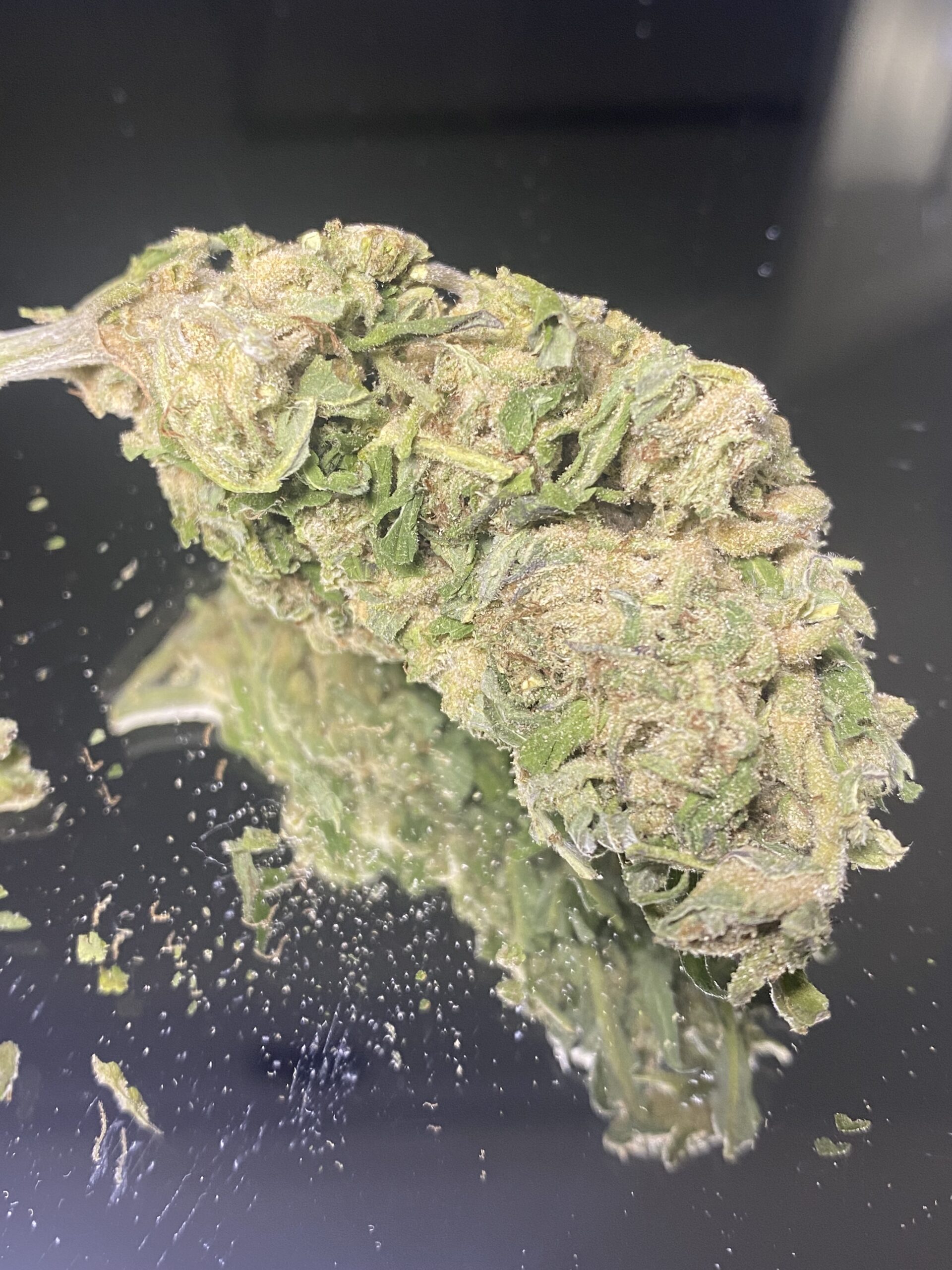 IMG_2958 Maui Wowie - Budget Weed - Image 1