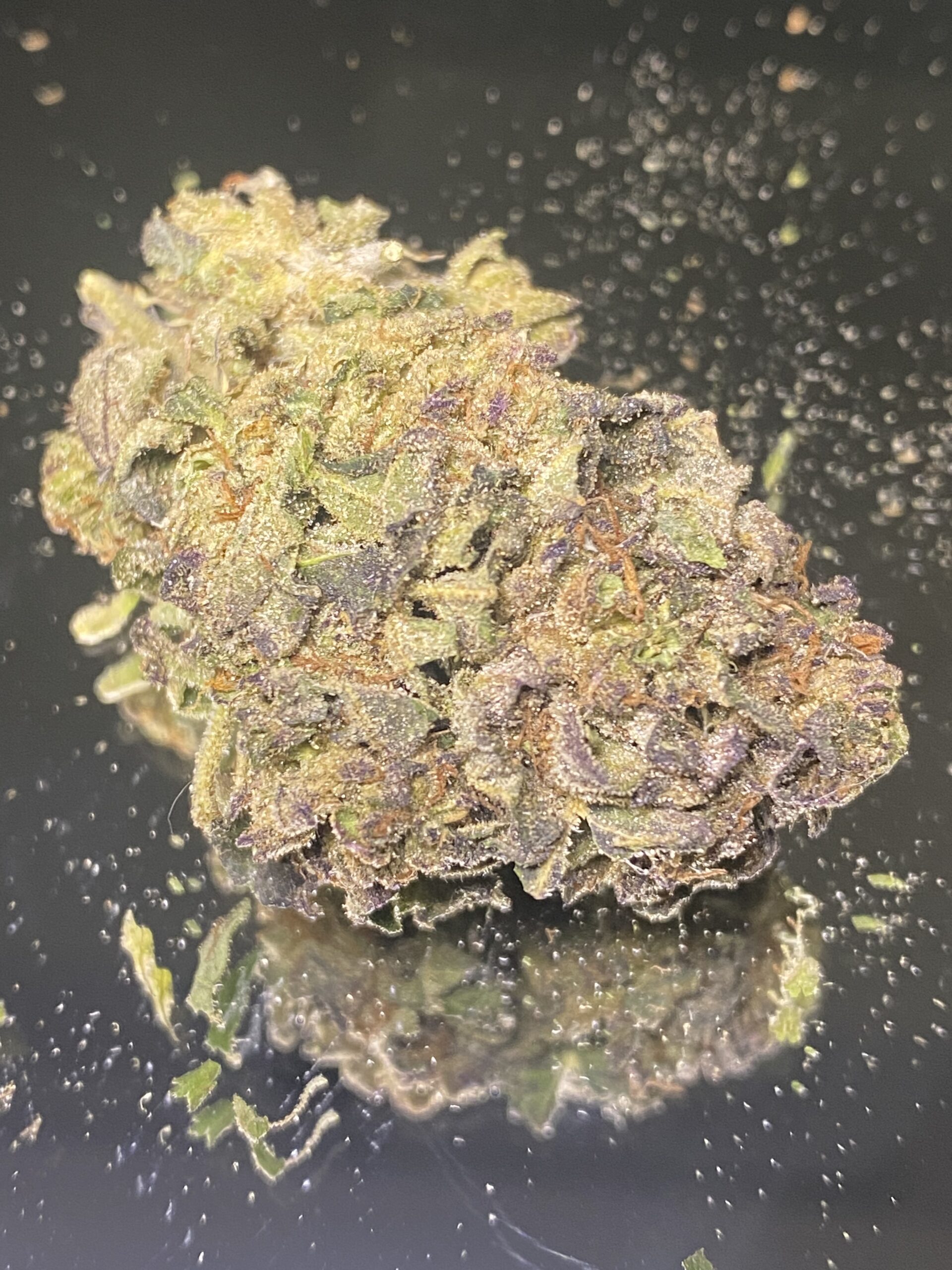 IMG_2962 Organic Purple Afghan - Budget Weed - Image 1