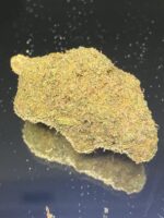 Death Master - Image 3