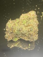 Pink Paradise - Image 3