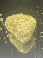 Master Splinter - Image 3