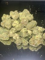 Master Splinter - Image 2