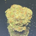 OG Shark - Budget Weed