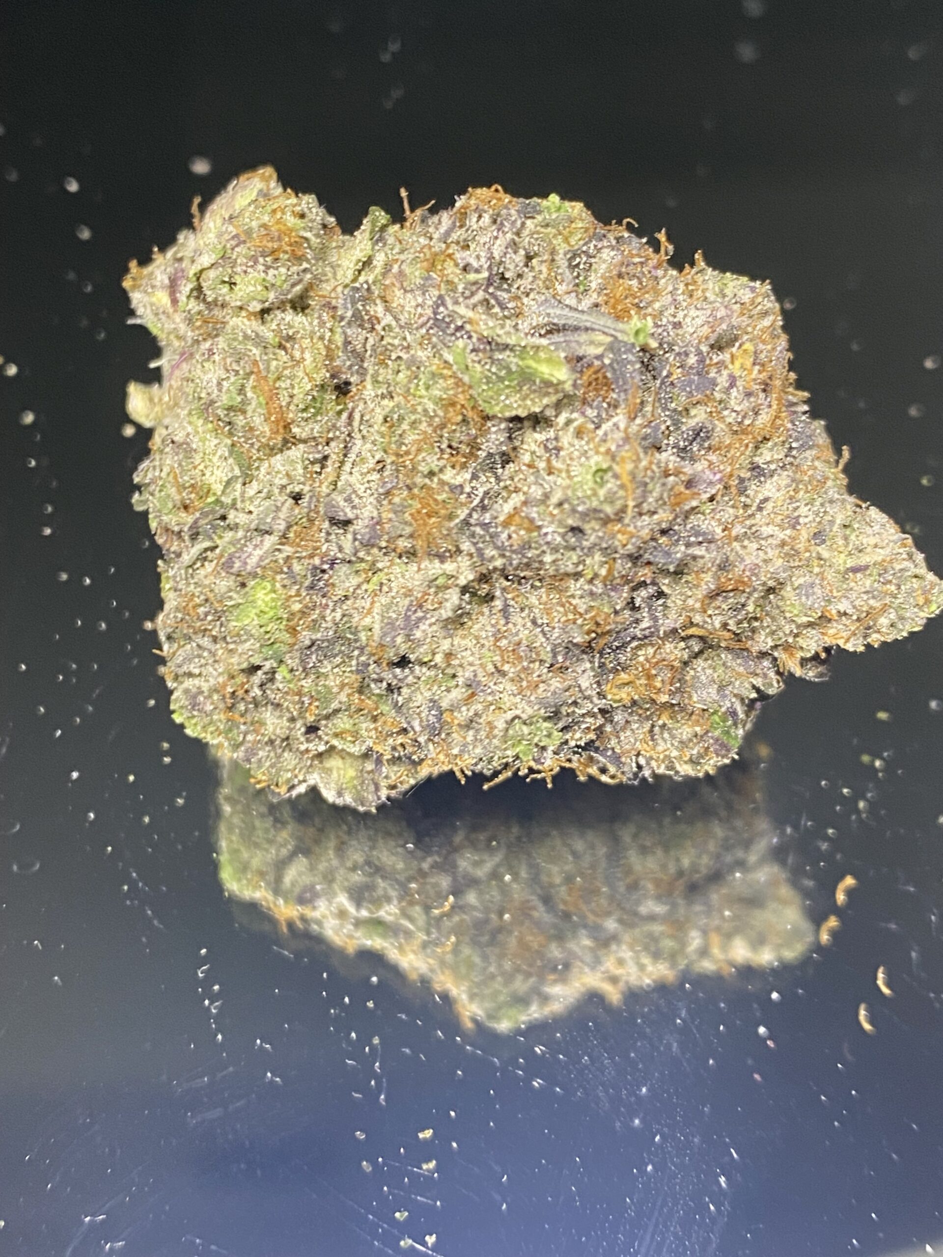 IMG_3071 Jaguar Kush - Image 1