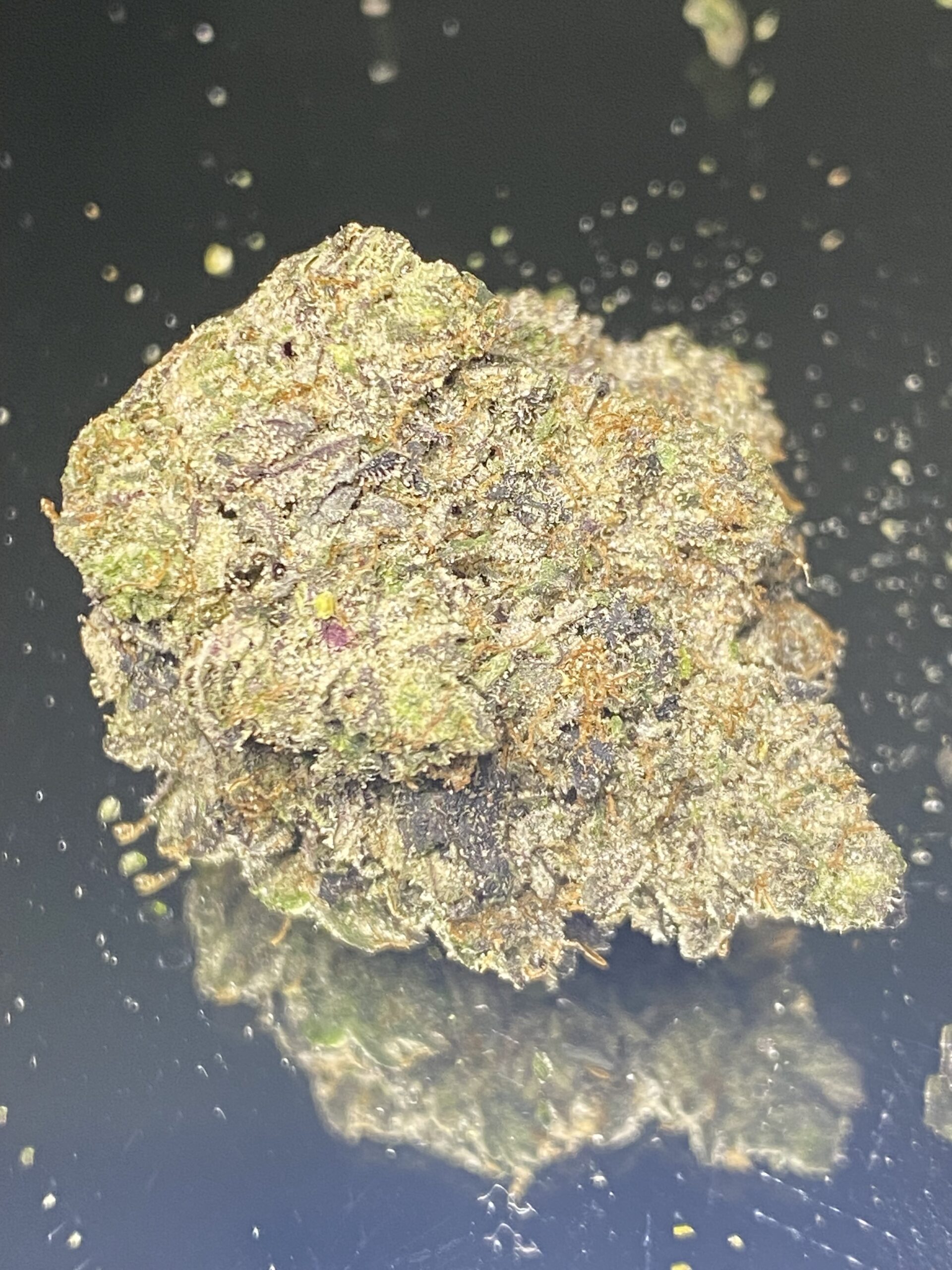 IMG_3077 Outrage Kush - Image 1