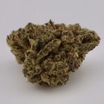 Pink Elephant - Image 3