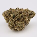 Pink Elephant - Image 2