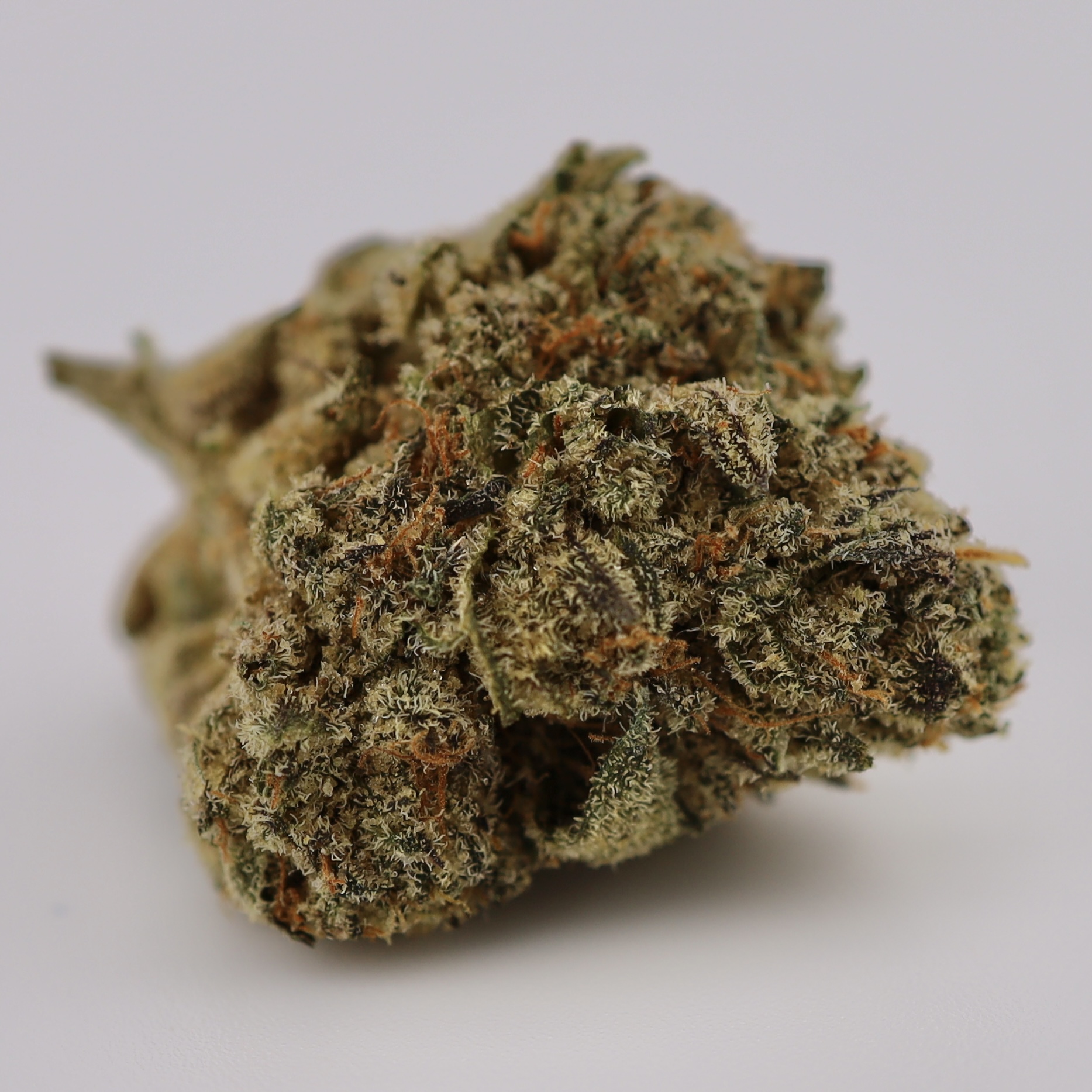 IMG_0021 Pink Elephant - Image 1