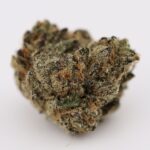 Pink Elephant - Image 2