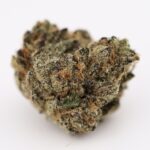 Pink Elephant - Image 3