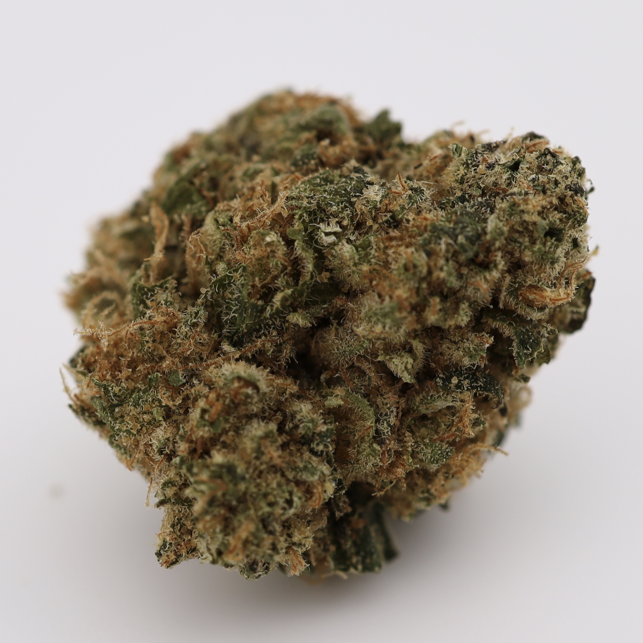 IMG_0030 Supreme Blueberry - Image 1