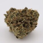 Supreme Blueberry - Image 2