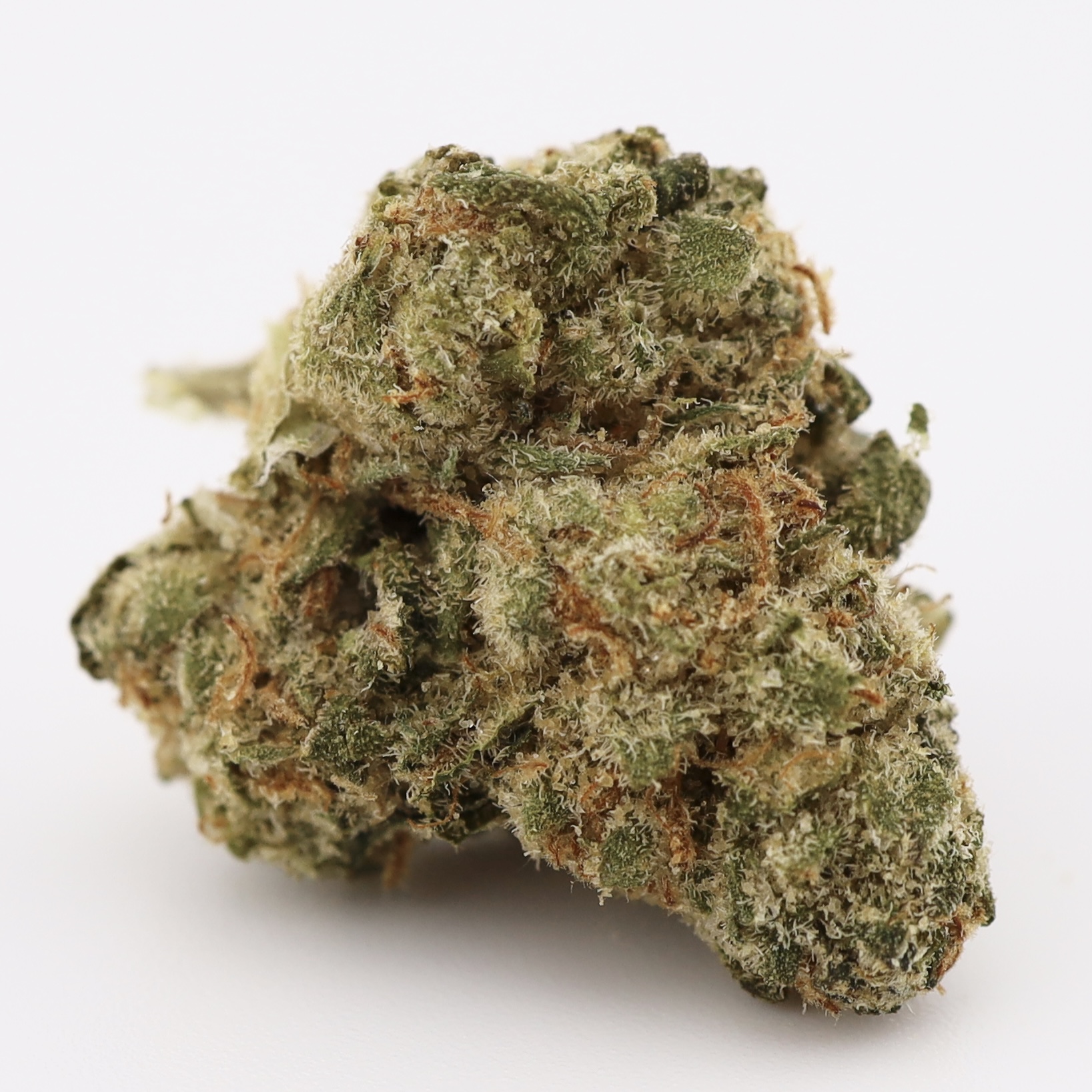 IMG_0038 Intergalactic Shunk (popcorn buds) - Image 1