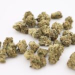 Intergalactic Shunk (popcorn buds) - Image 3