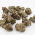 Atomic Blueberry (popcorn buds) - Image 3