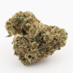Blue Poison (popcorn buds) - Image 2