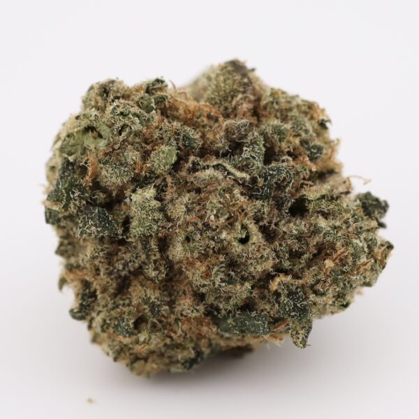 Blue Poison (popcorn buds)