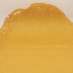 Sherbet House Shatter