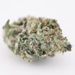 Exotic Gas - Image 3