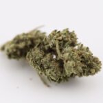 Fruit Slap - Budget Weed - Image 3