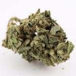 Fruit Slap - Budget Weed - Image 2