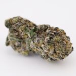 Masterpiece - Image 2