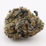 Masterpiece - Image 3