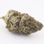 Purple Gelato - Image 2