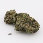 Death Punch - Image 3