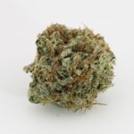 Marty McHigh - Image 2