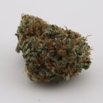 Marty McHigh - Image 3