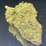 Chem Berry D